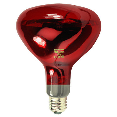 لامپ مادون قرمز 250 وات نور مدل 01
